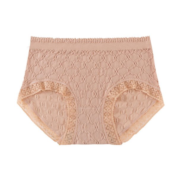 Seamless Lace Brief TLFB001 – Bild 2